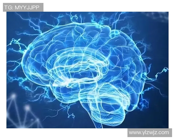 电竞脑科学探索：比赛中大脑活动区域的深度研究与分析