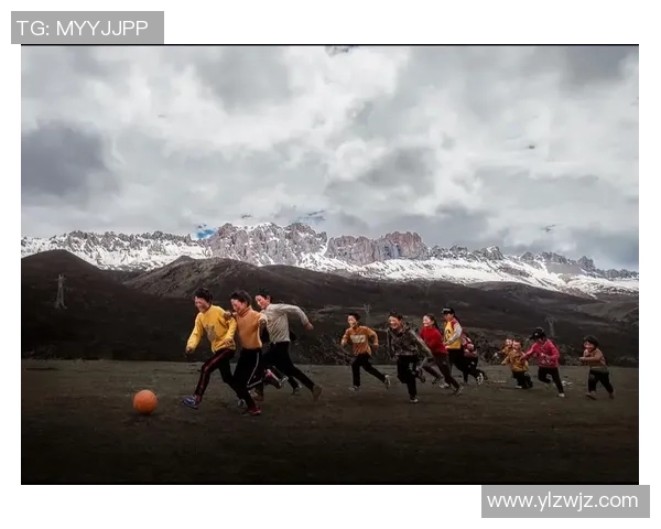 高原与湿热气候对足球主场优势的影响及其现状分析